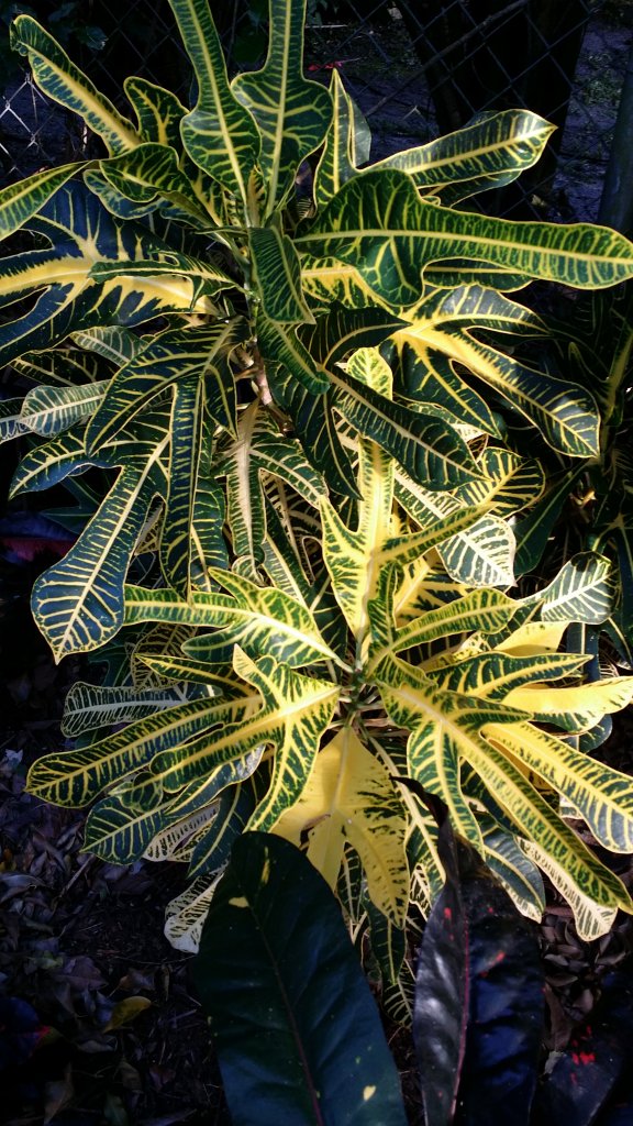 20150410_183356.jpg