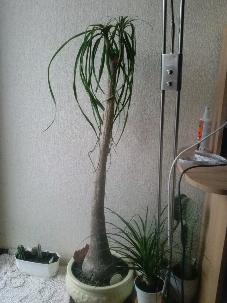 ATT_1455956893504_CAM00745.jpg ATT_1455956893504_CAM00745.jpg