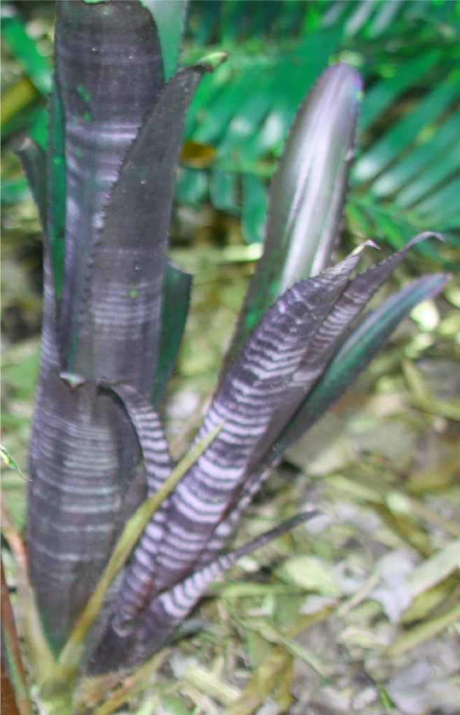 FotoFlexer_Photo dv.jpg