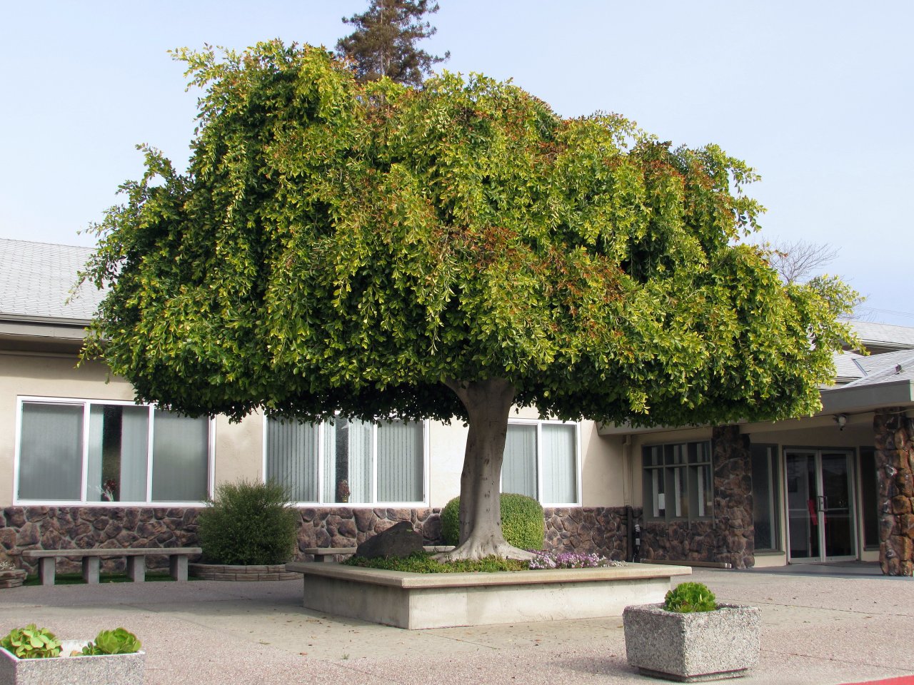 IMG_2746.jpg IMG_2746.jpg