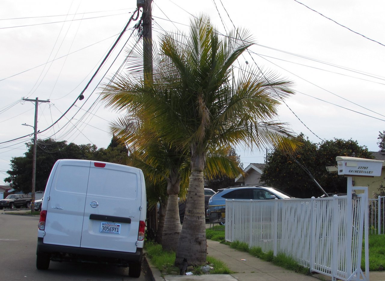 IMG_2825.jpg IMG_2825.jpg