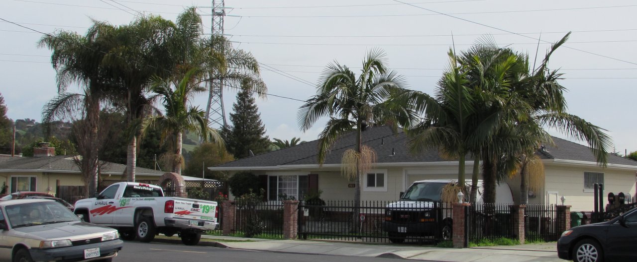 IMG_2949.jpg IMG_2949.jpg