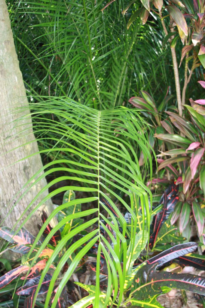 IMG_3291.JPG IMG_3291.JPG