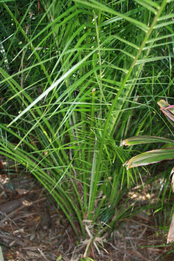 IMG_3292.JPG IMG_3292.JPG