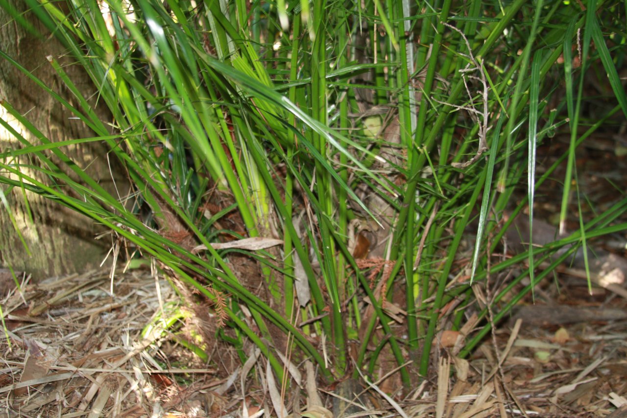 IMG_3293.JPG IMG_3293.JPG