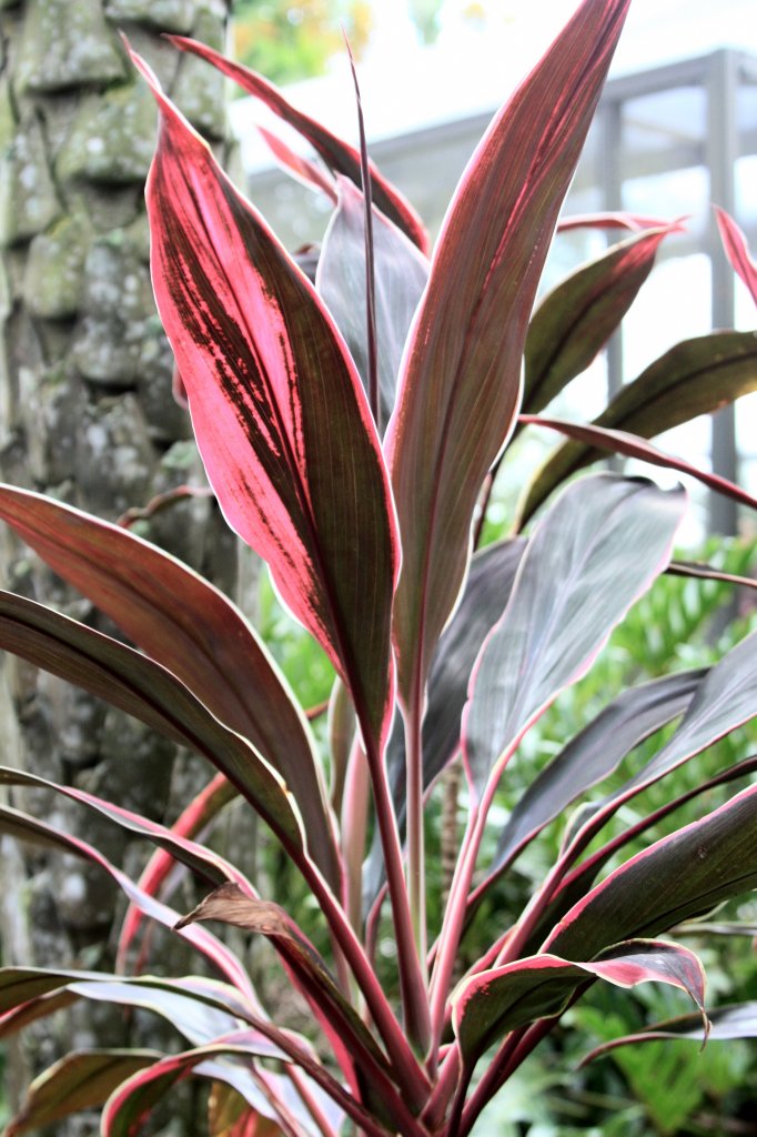 Img_6168.jpg Img_6168.jpg