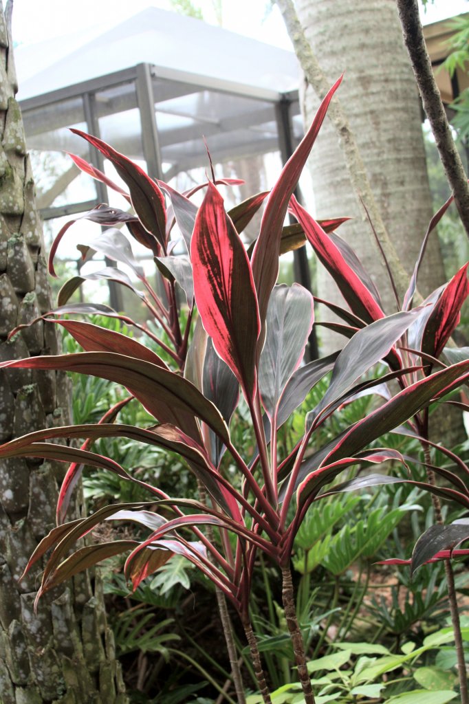 Img_6170.jpg Img_6170.jpg