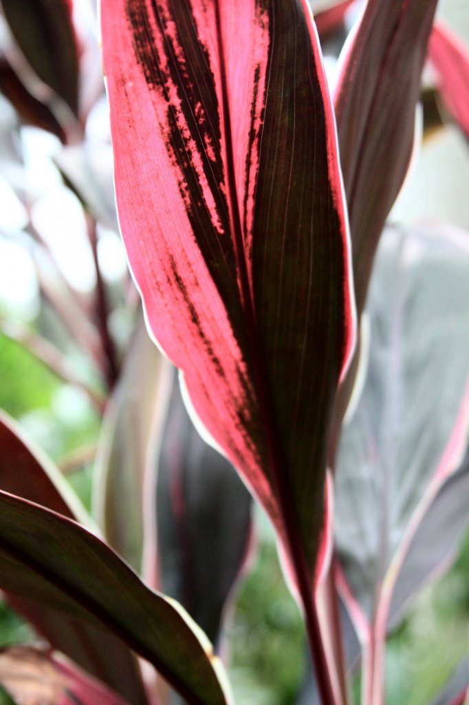 Img_6171.jpg Img_6171.jpg