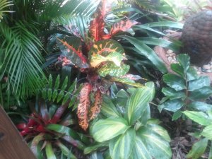 2011-07-09 13.51.01.jpg