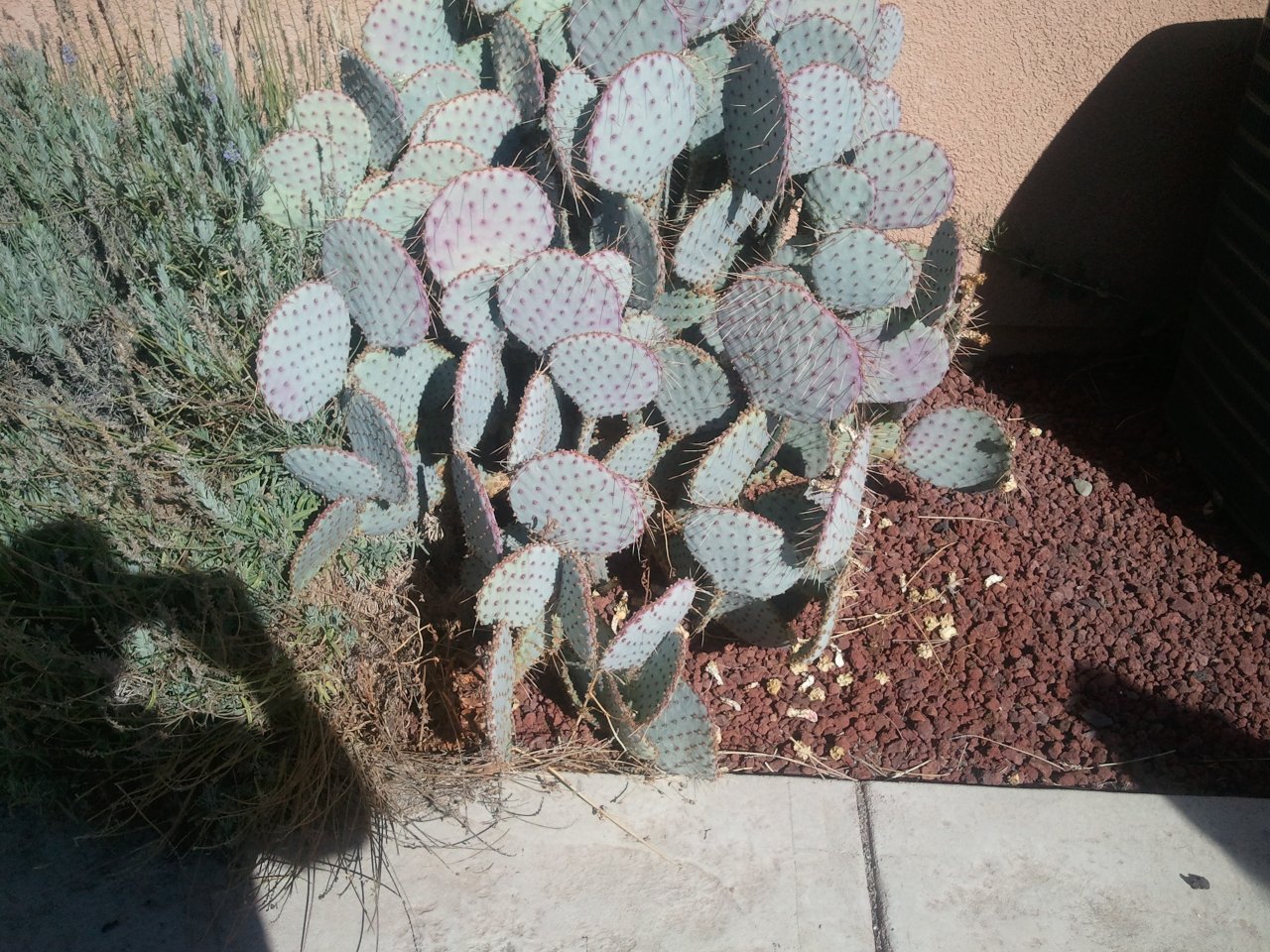 2014-10-22 11.05.33.jpg