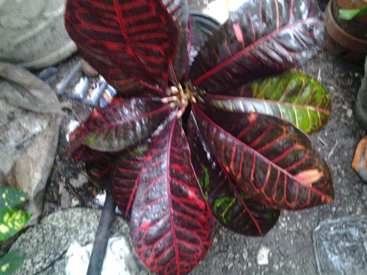 20141231_171355.jpg
