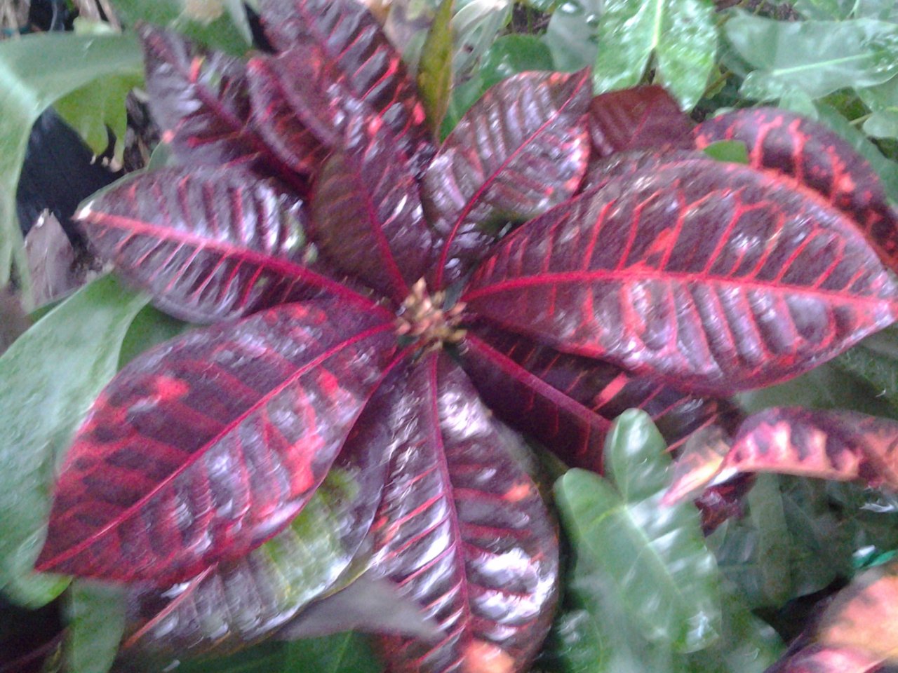 20141231_171427.jpg