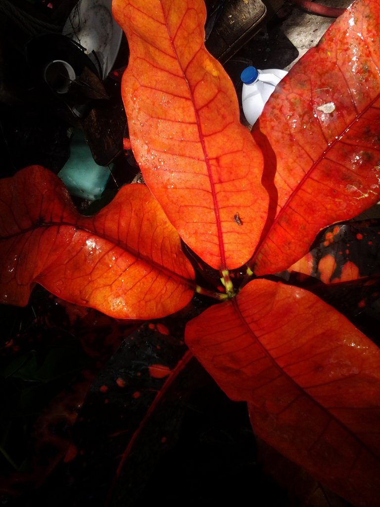 20150320_150820.jpg
