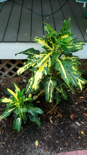 20150628_101721.jpg