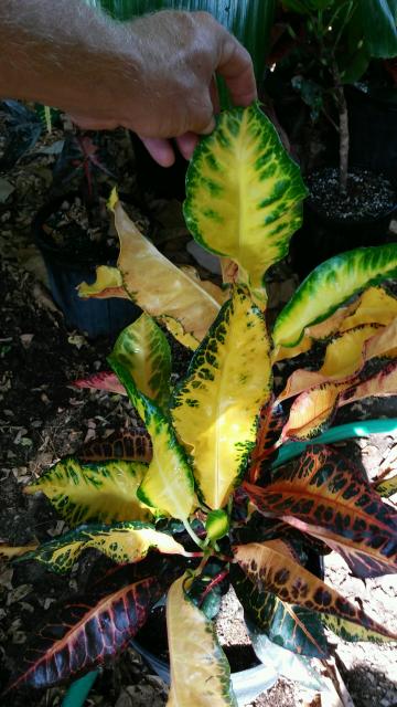 20150812_173933.jpg
