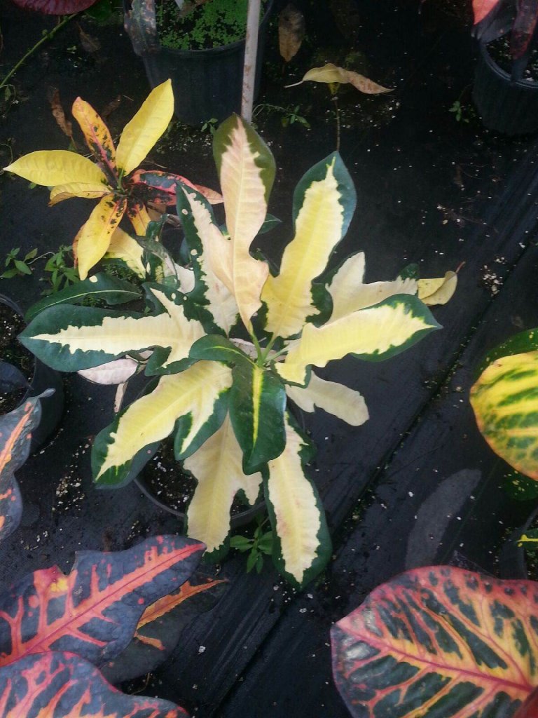 20150818_150003.jpg