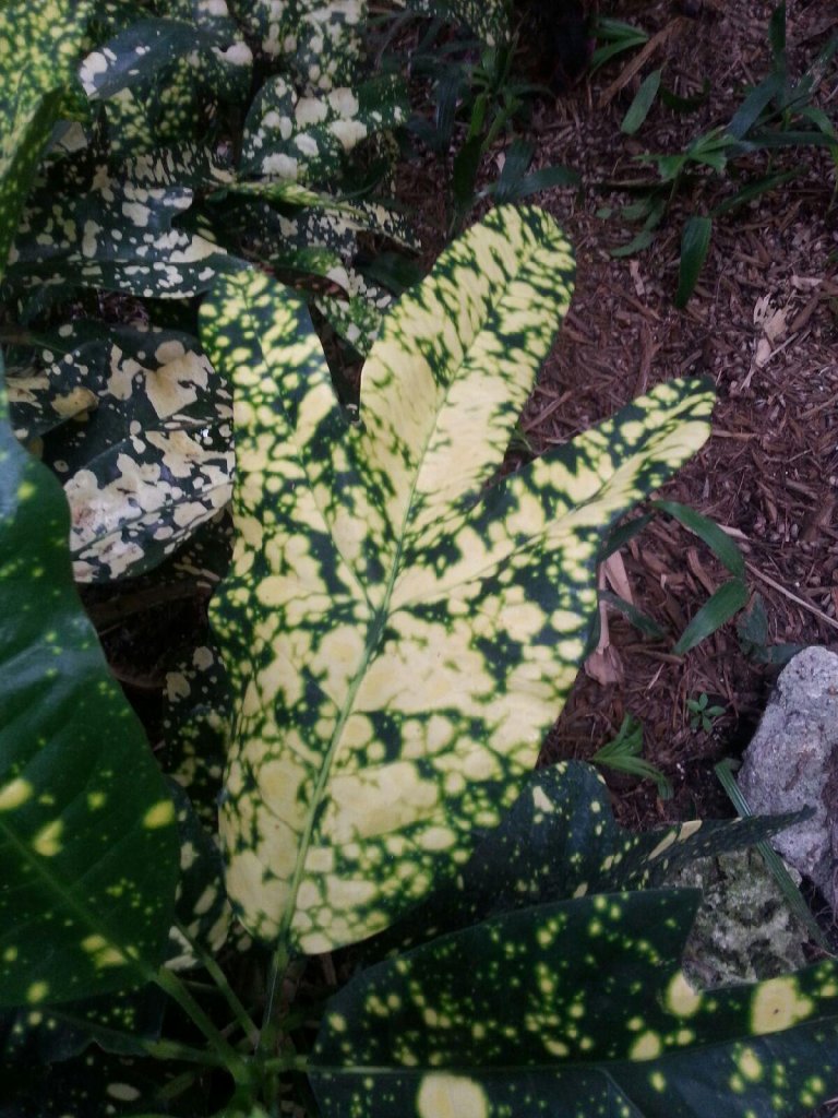20150818_173234.jpg