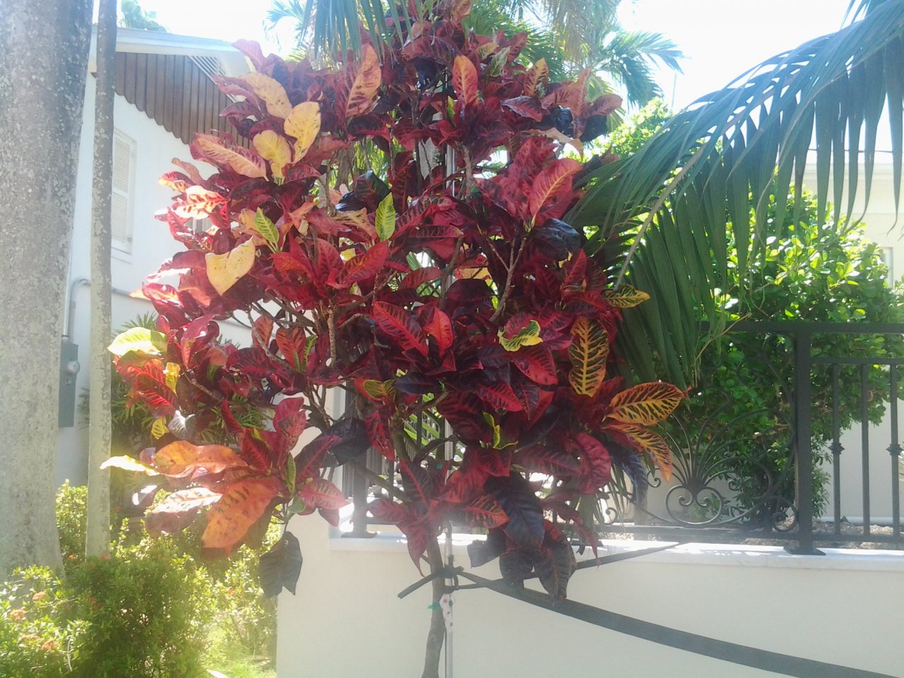 20150824_114958.jpg