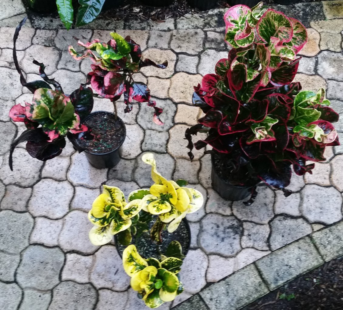 20151003_074947 (2).jpg