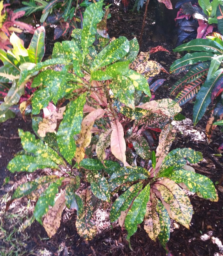 20151010_104704 (2).jpg