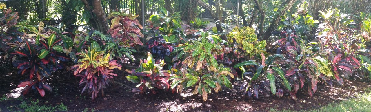 20151010_104732 (2).jpg