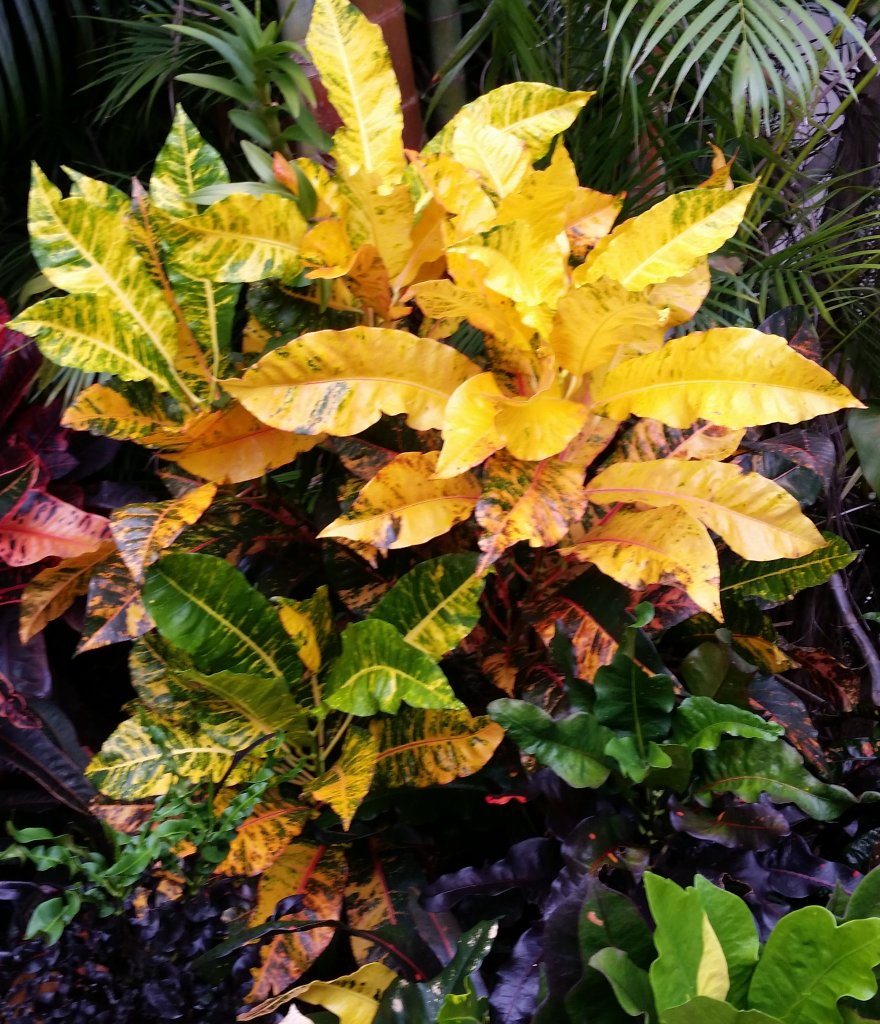 20151011_172749 (2).jpg