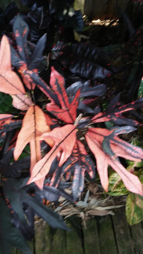 20151031_105134.jpg
