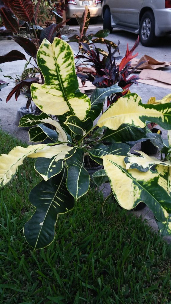 20151031_180117.jpg