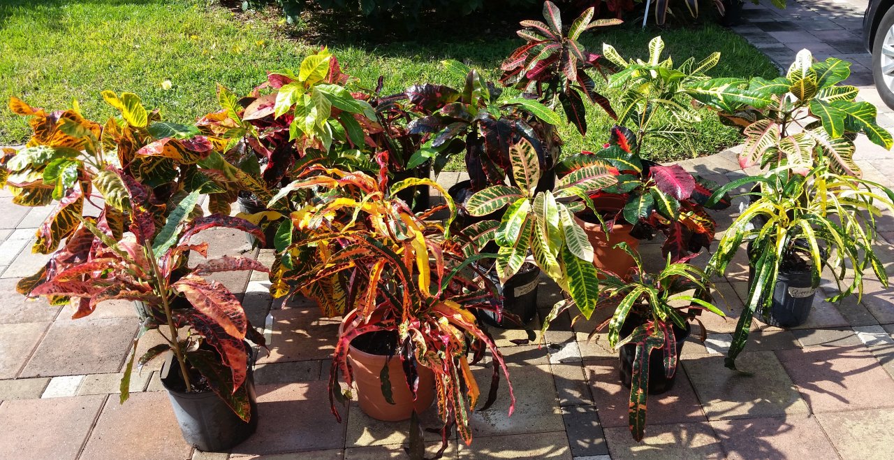 20151101_095642 (2).jpg