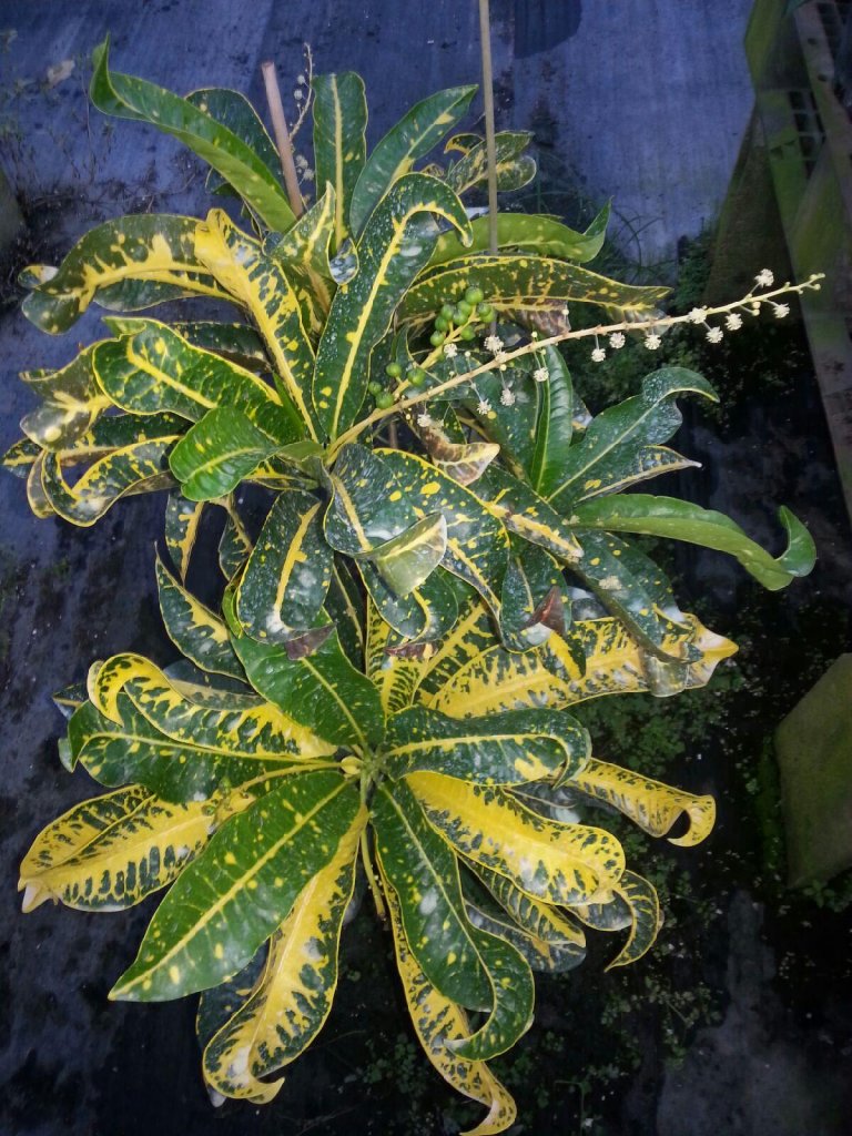 20151105_172825.jpg