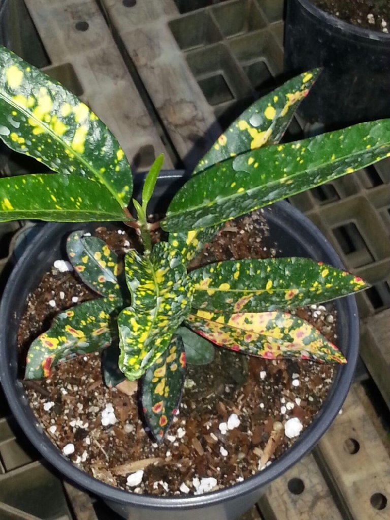 20151105_173550.jpg