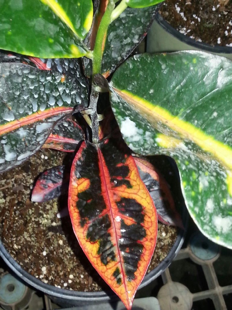 20151105_173745.jpg