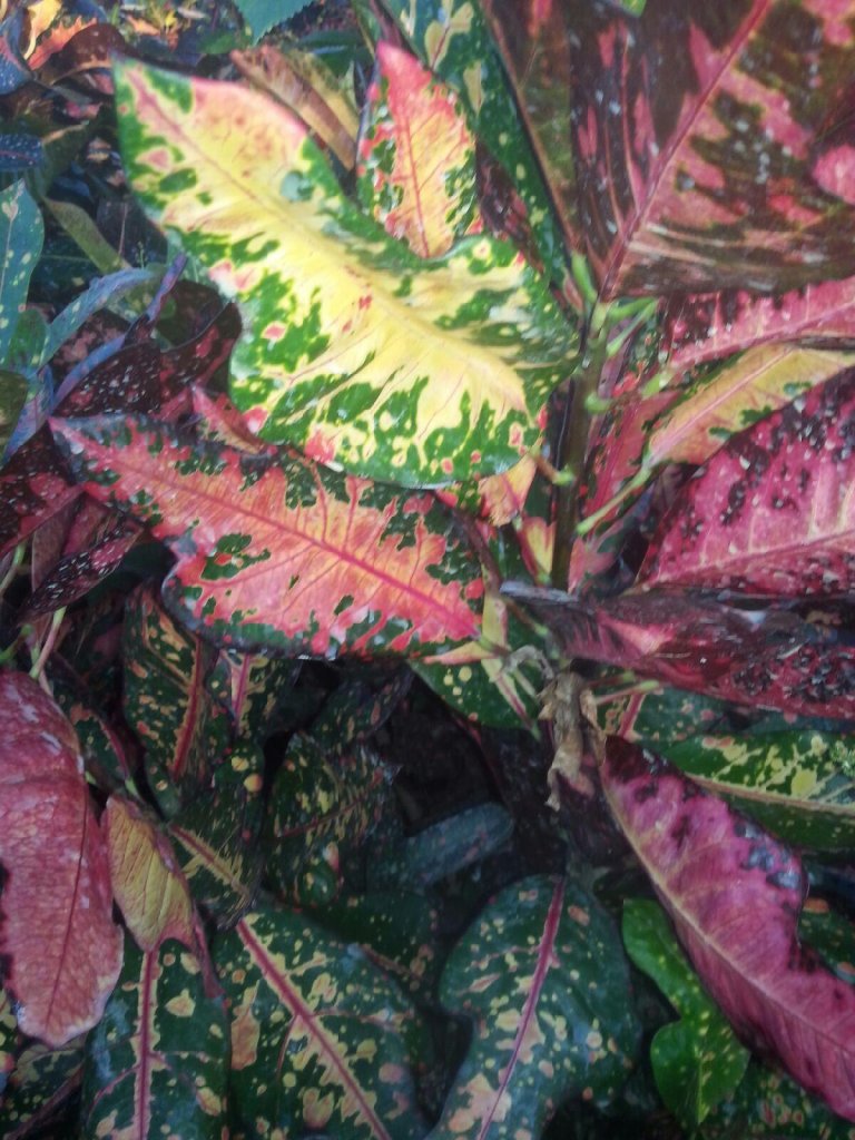 20151112_170231.jpg