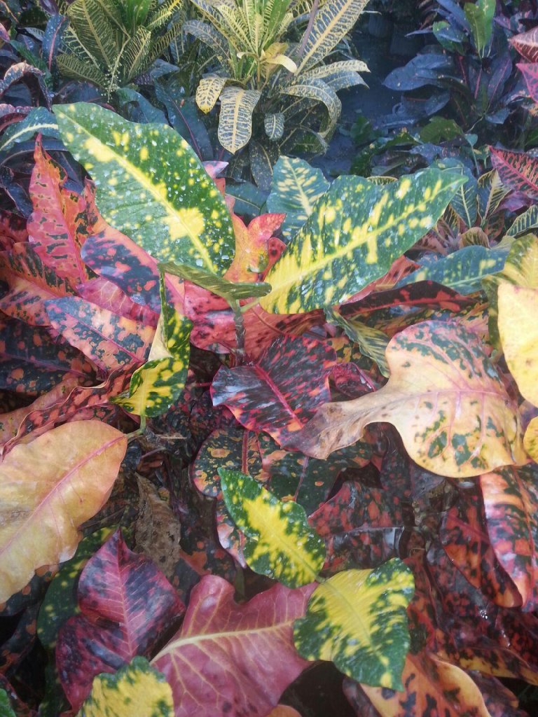 20151112_170456.jpg