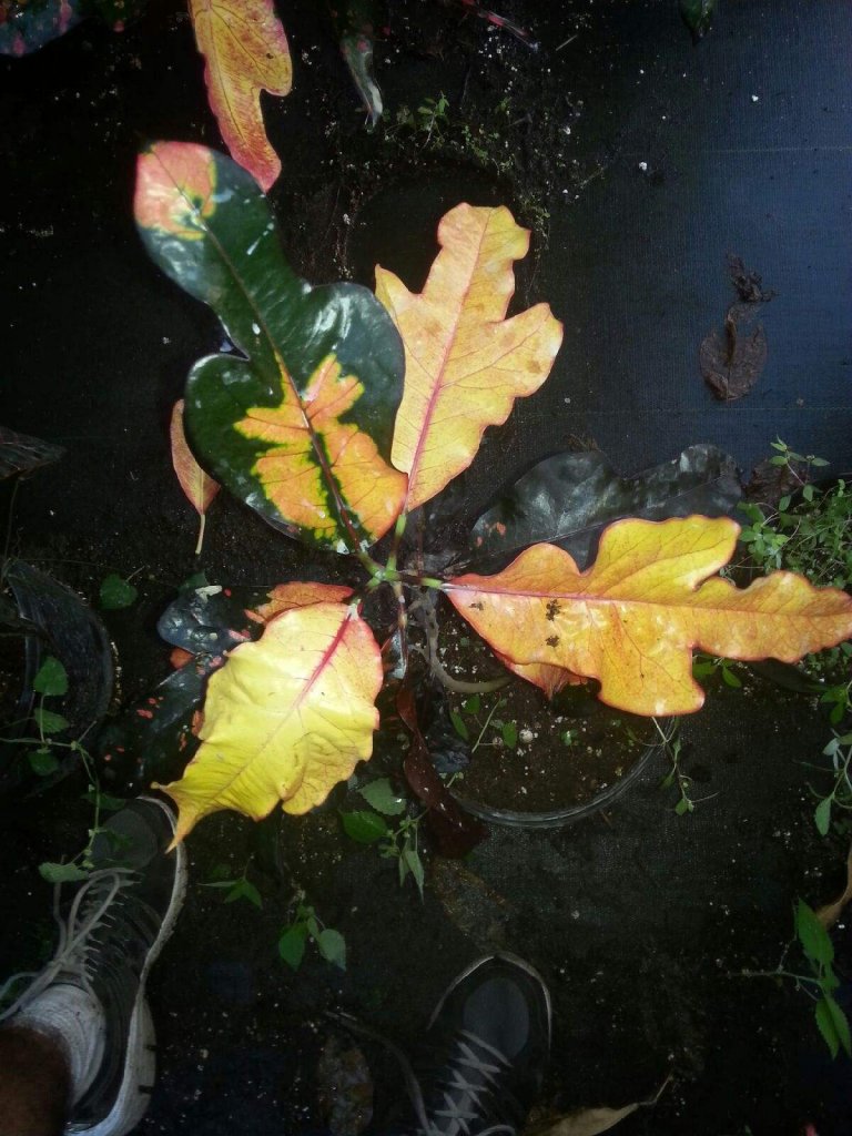 20151112_170806.jpg