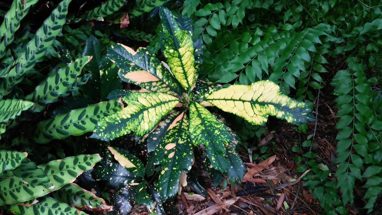 20151206_111717.jpg