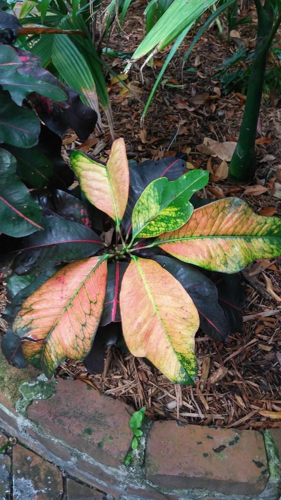 20160324_100112_HDR.jpg
