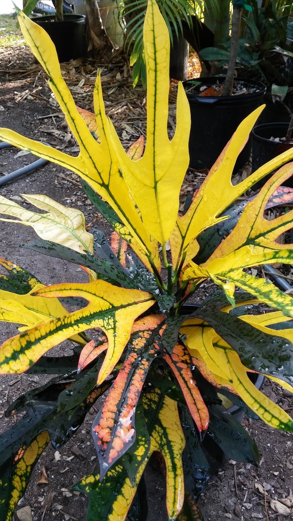 20160328_174449_HDR.jpg