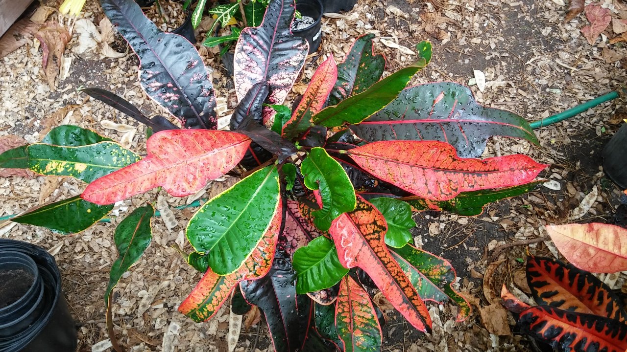 20160415_164022_HDR.jpg