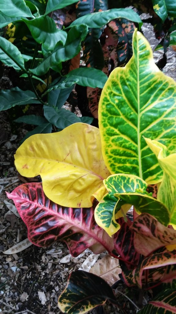 20160420_191356_HDR.jpg