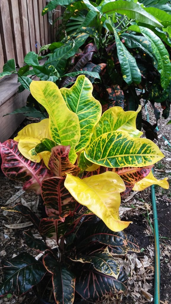 20160420_191409_HDR.jpg