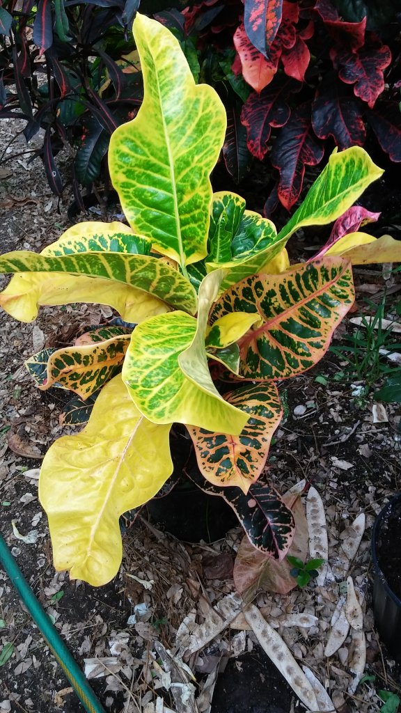 20160420_191430_HDR.jpg