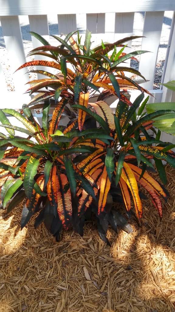 20160429_120455_HDR.jpg 20160429_120455_HDR.jpg