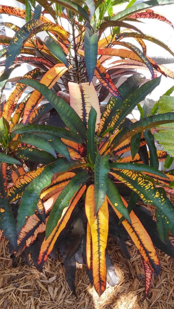 20160429_120502_HDR.jpg 20160429_120502_HDR.jpg