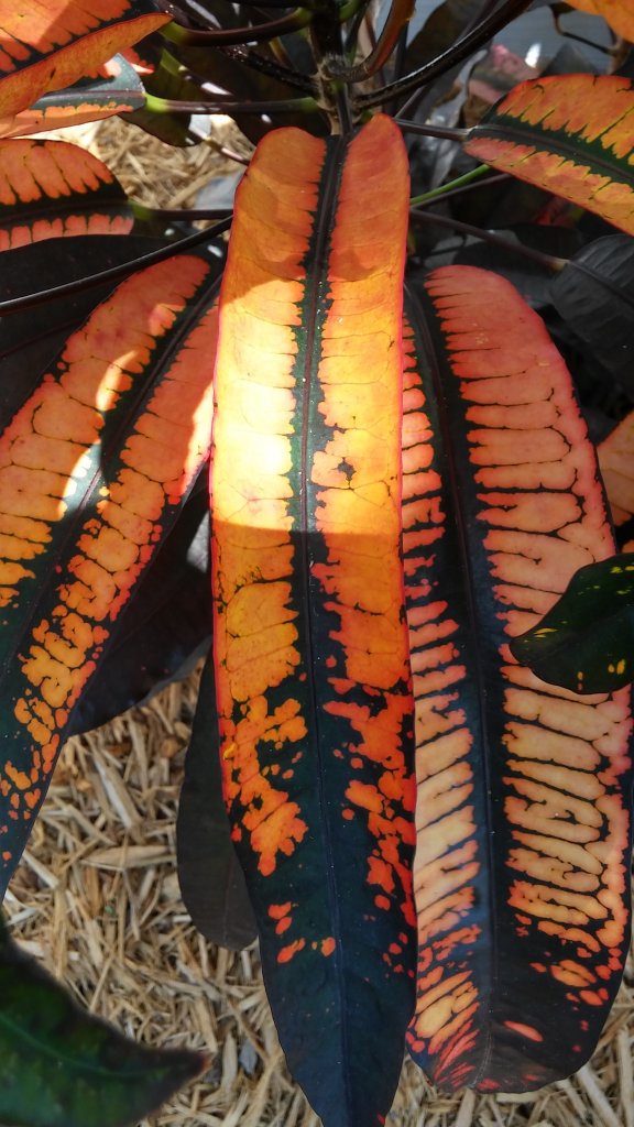 20160429_120517_HDR.jpg 20160429_120517_HDR.jpg