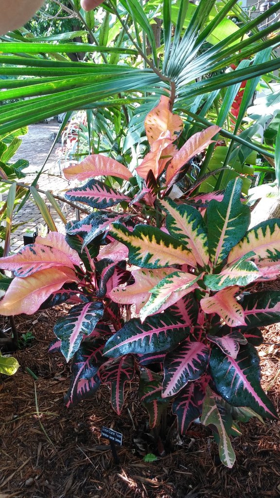20160506_083212_HDR.jpg