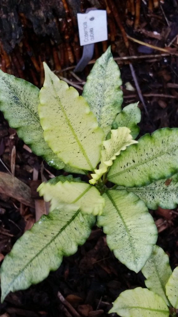 20161002_144751.jpg