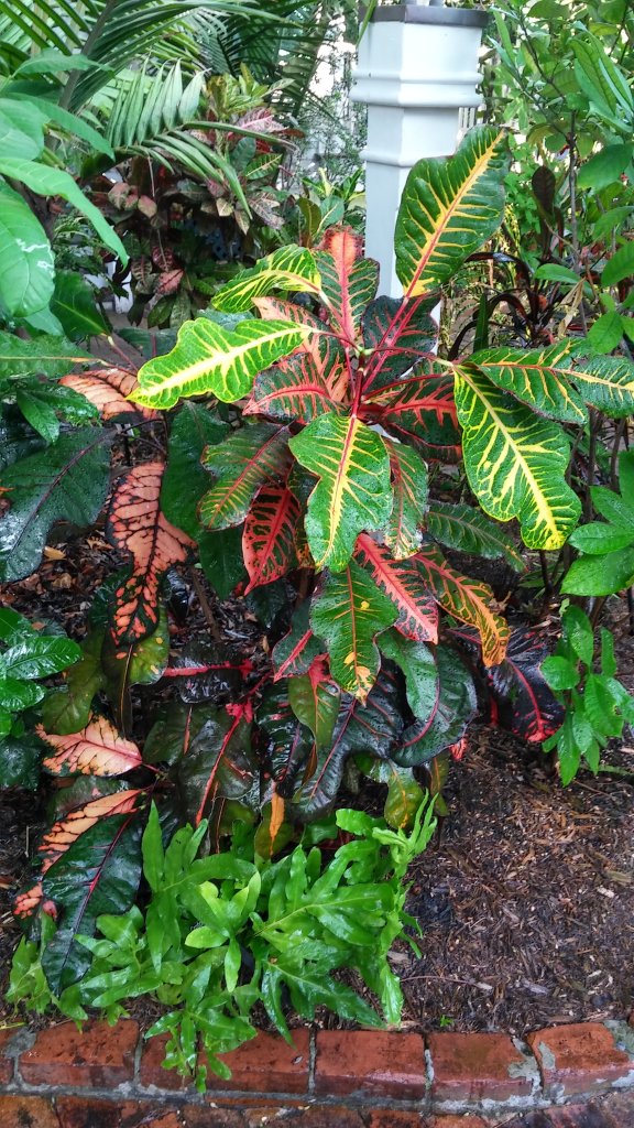20161107_080323_HDR.jpg