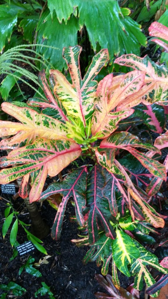 20161208_074728_HDR.jpg