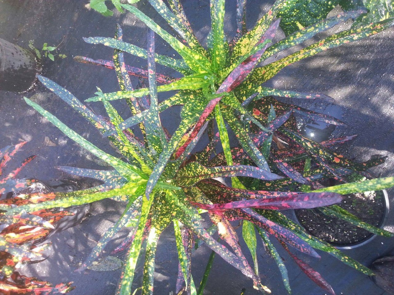 20161214_110139.jpg